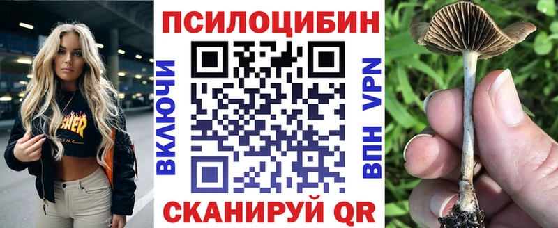 Псилоцибиновые грибы Psilocybe  закладки  Петропавловск-Камчатский 